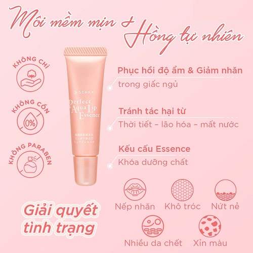 Son Dưỡng Môi Senka Mặt Nạ Ngủ Ủ Môi Senka  Cấp Ẩm Ngừa Khô, Nẻ Môi Senka Perfect Aqua Lip Essence 10G