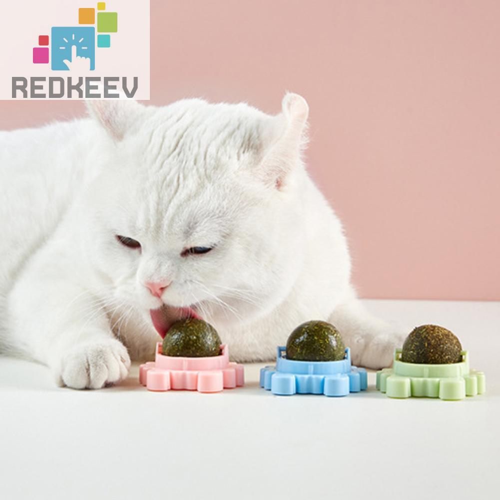 Quả Bóng Đồ Chơi Nhai Cắn Có Thể Xoay Được Cho Mèo Cưng