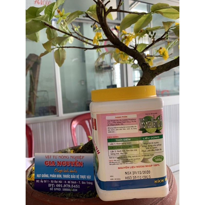 SIÊU CHANH kích ra hoa đậu nhiều trái lớn trái nhanh 500g