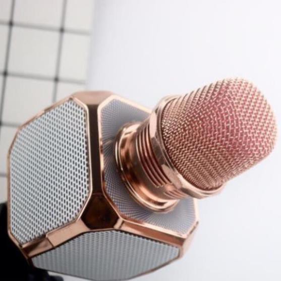 MICRO Karaoke bluetooth micro Không Dây SD10  FREESHIP  mic Đa Năng chỉnh giọng tích hợp loa - hàng chính hãng
