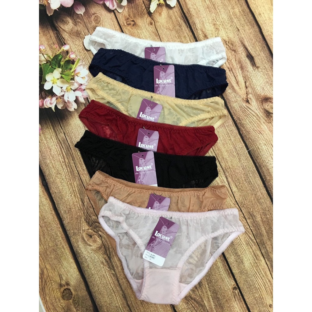 Combo 5 quần lót nữ bông ép cao cấp Locust 028