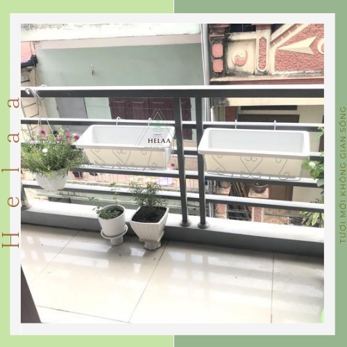 Chậu Trồng Rau Hình Chữ Nhật, Khay Nhựa Trồng Rau Thông Minh, Máng, Giá, Bồn Trồng Hoa, Củ Quả - 2 Màu Sắc Kích Cỡ