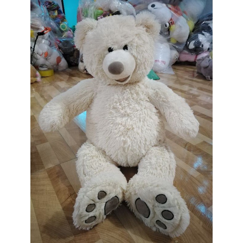 gấu teddy 70cm màu kem