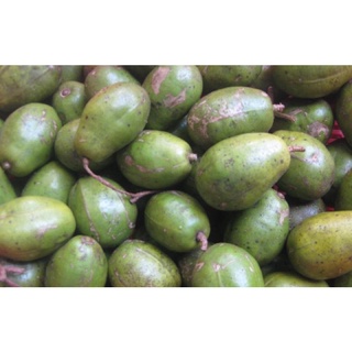 Cóc già chưa gọt 1kg