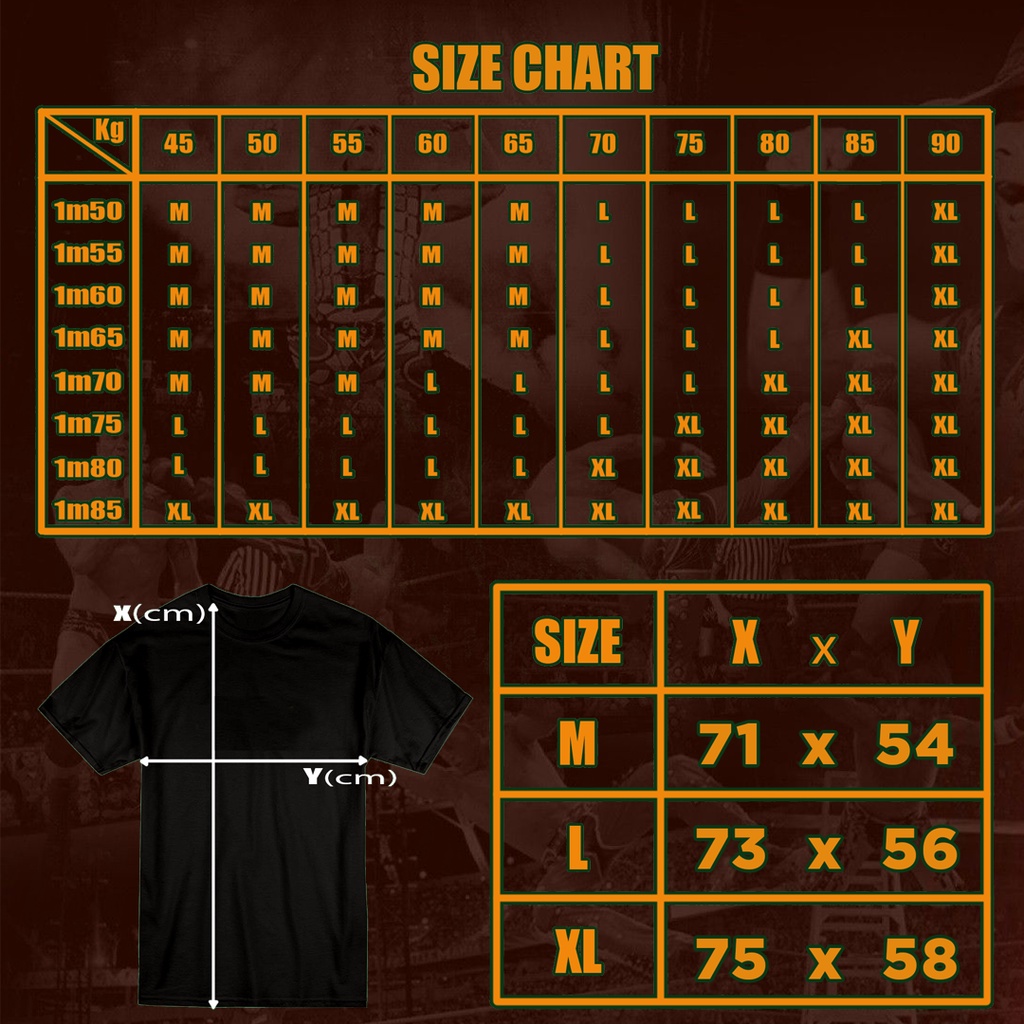 Áo thun UNISEX cổ tròn HDVERSE Shawn Michaels HBK WWE vải cotton 4 chiều thoáng mát, form cổ điển