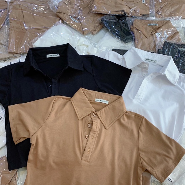 ÁO CROPTOP 3 MÀU POLO