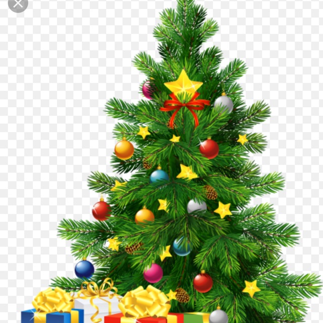 Cây thông noel