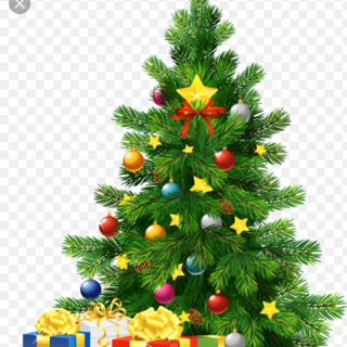 Cây thông noel