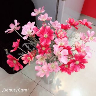 Hoa lụa - hoa cánh bướm