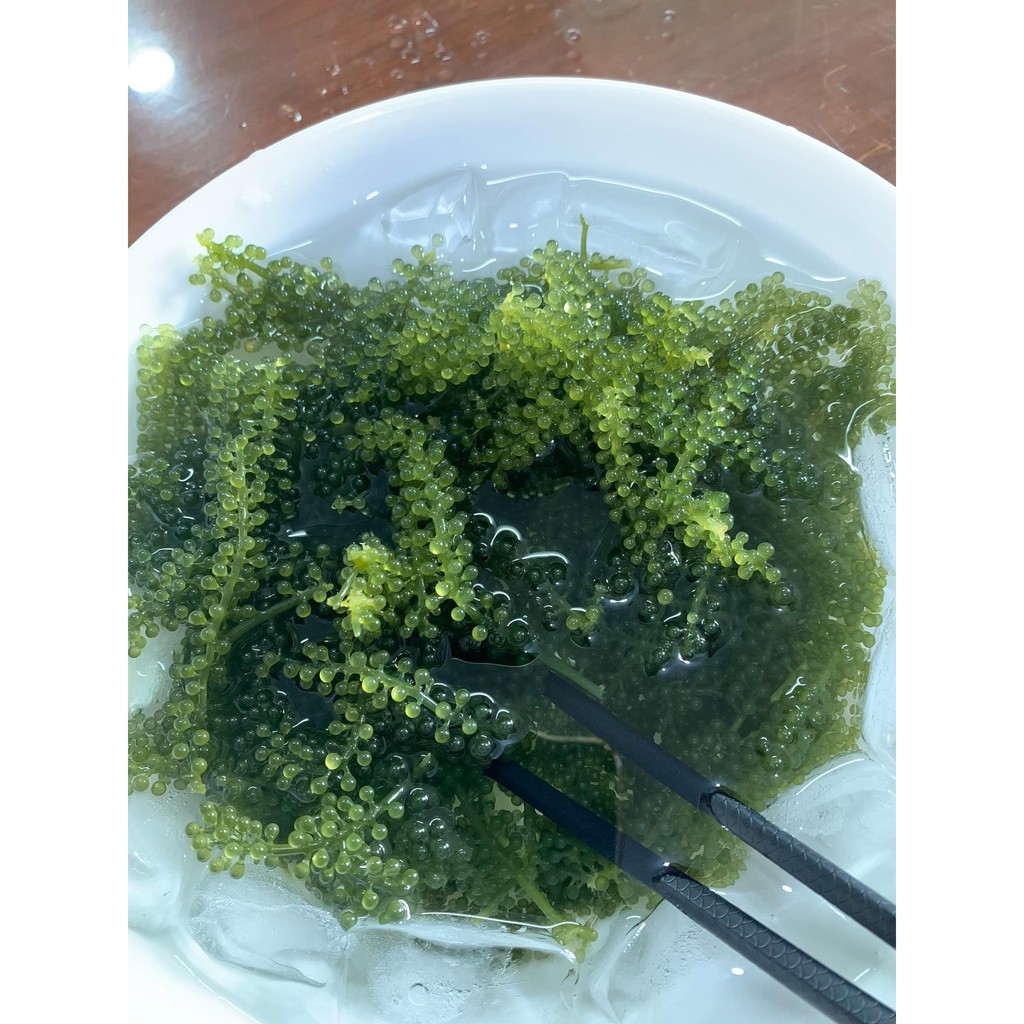 Gói Sốt Mè Rang Đậm Đặc Loại 1 Siêu Ngon Okinawa | BigBuy360 - bigbuy360.vn