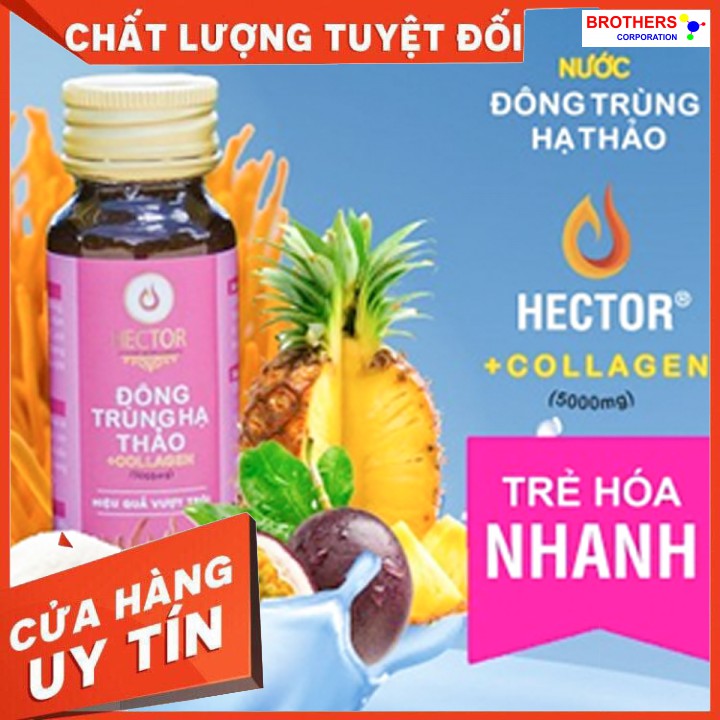 [Gói trải nghiệm] [Hỗ trợ freeship] Nước Đông Trùng Hạ Thảo Hector Collagen (02 chai Collagen x 50ml)