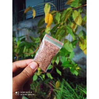 Muối Chẳm Chéo Khô Thơm, Ngon Chuẩn Vị Dân Tộc Thái (Gói Ăn Thử)