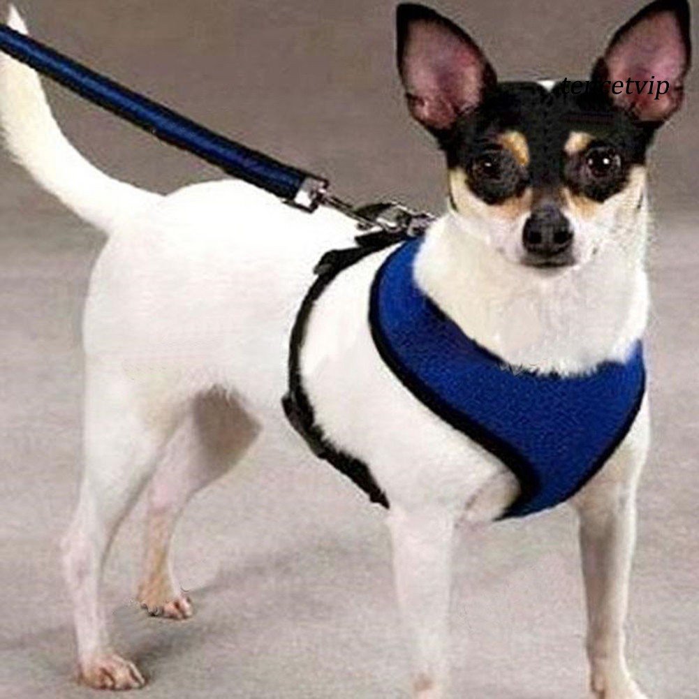 Áo Vest Cao Cấp Cho Thú Cưng