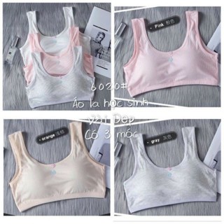 Áo lá học sinh cotton có móc gài