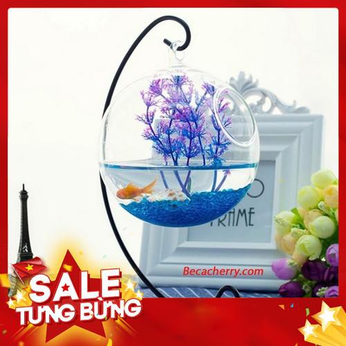 [Ảnh thật 100%] Bể Cá Mini Để Bàn Làm Việc Hình Bán Nguyệt 22 ( Tặng kèm phụ kiện trang trí )