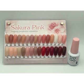 Sơn thạch bobo đẹp 30 màu lẻ