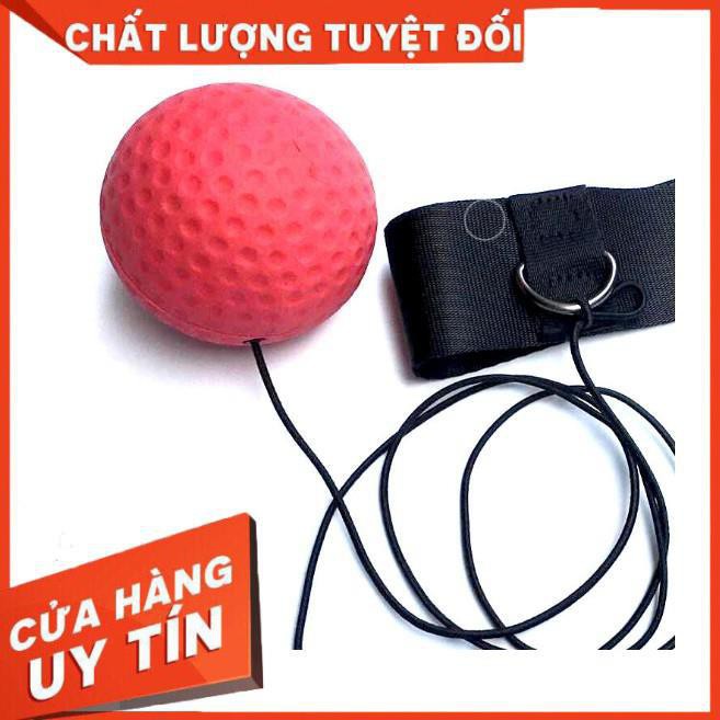 [XẢ KHO+FREE SHIP Thanh tập thể dục. Bóng Phản Xạ Võ Thuật Đeo Đầu - CAO SU NON ĐÀN HỒI