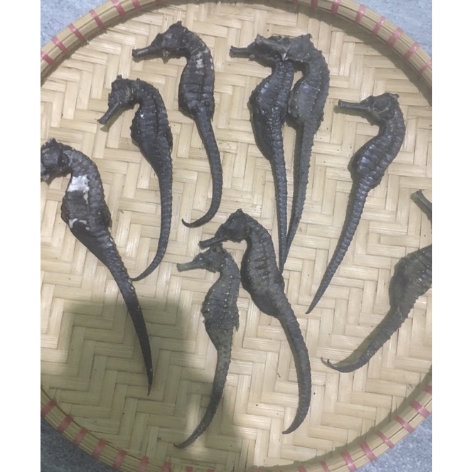 Cá ngựa khô size 14-17cm Phú Quốc- Kiên Giang