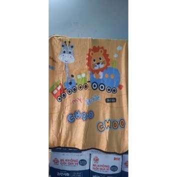 Chăn Lông Tuyết Trẻ Em, Chăn Lông Tuyết Cho Bé Đi Học Kích Thước 1mx1m4 Dùng Được 4 Mùa