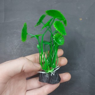 Cây cỏ nhựa