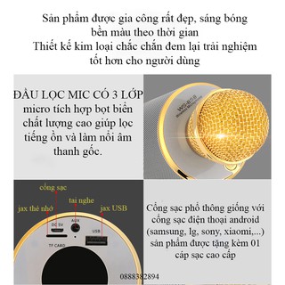 Micro karaoke bluetooth WS858 loại 1