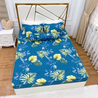 SET GA CHUN TRẦN BÔNG KÈM 2 VỎ GỐI ĐẦU COTTON LỤA HÀN CAO CẤP(CHAT ĐỂ XEM THÊM NHIỀU MÀU)