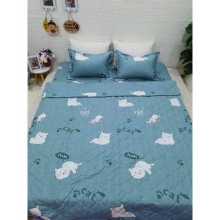 Set chăn hè cotton poly 5 món gồm 1 ga ,2 vỏ gối đầu , 1 vỏ gối ,1 chăn hè trần