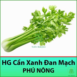 Hạt Giống Cần Tây 5G Tỉ Lệ Nảy Mầm Cao