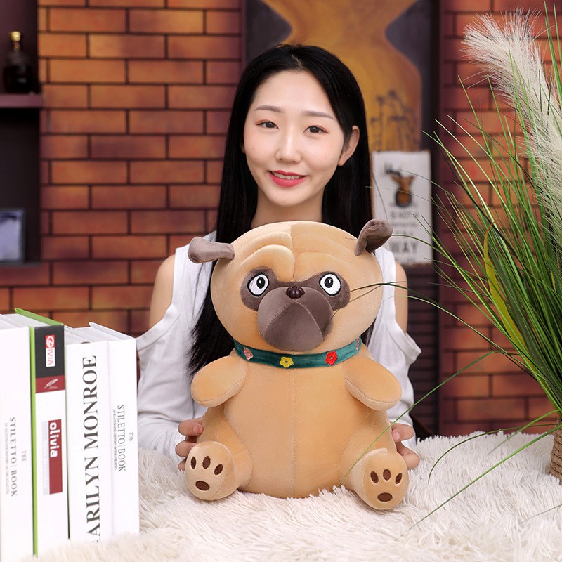 Chó Bông Mặt Xệ Pug Lông Siêu Mịn