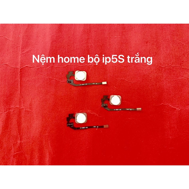 Nệm home iphone 5S bộ