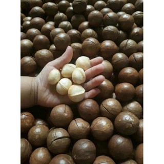 Sỉ lẻ hạt mắc ca 500g - 1kg