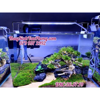 Hồ Thủy Sinh văn phòng, thủy sinh để bàn làm việc