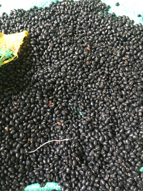 1kg Đậu đen xanh lòng Đăk Lăk