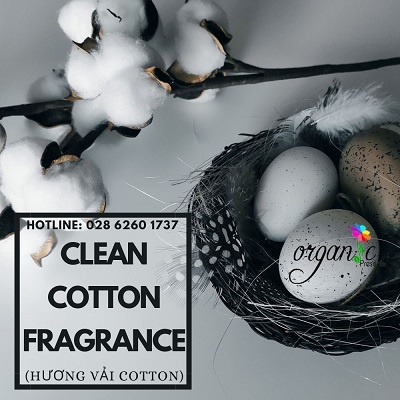 CLEAN COTTON FRAGRANCE