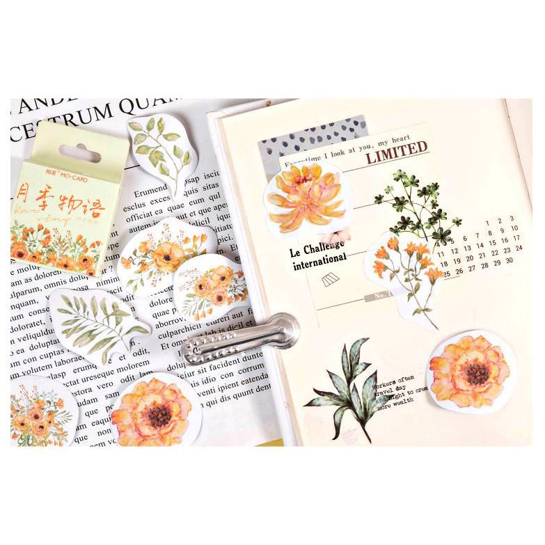 Bộ 46 Sticker Hoa Mùa Hạ E112
