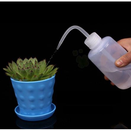 Bình tưới nước vòi nhọn chuyên dụng cho sen đá xương rồng