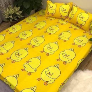 Ga gối cotton poly