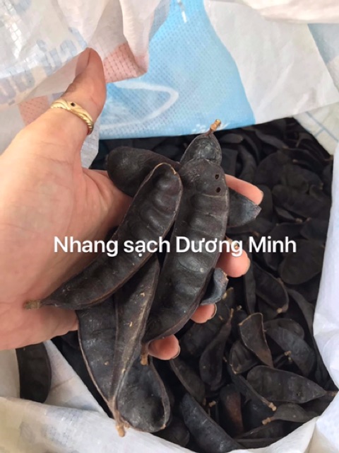 Nhang bồ kết Dương Minh - nhang sạch thắp bàn thờ và xông nhà gói 200g 140cây