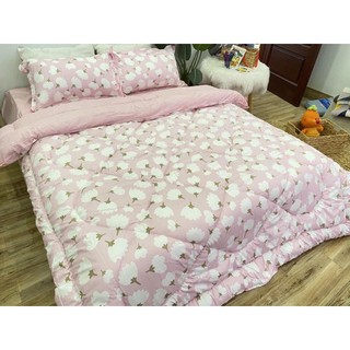 Set Chăn Ga Gối Cotton Poly Nhập Khẩu