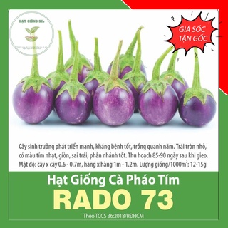 Hạt giống Cà pháo tím phát triển mạnh, trái màu tím đẹp và ngon