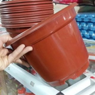 Chậu ab đường kính 24cm cao 16cm