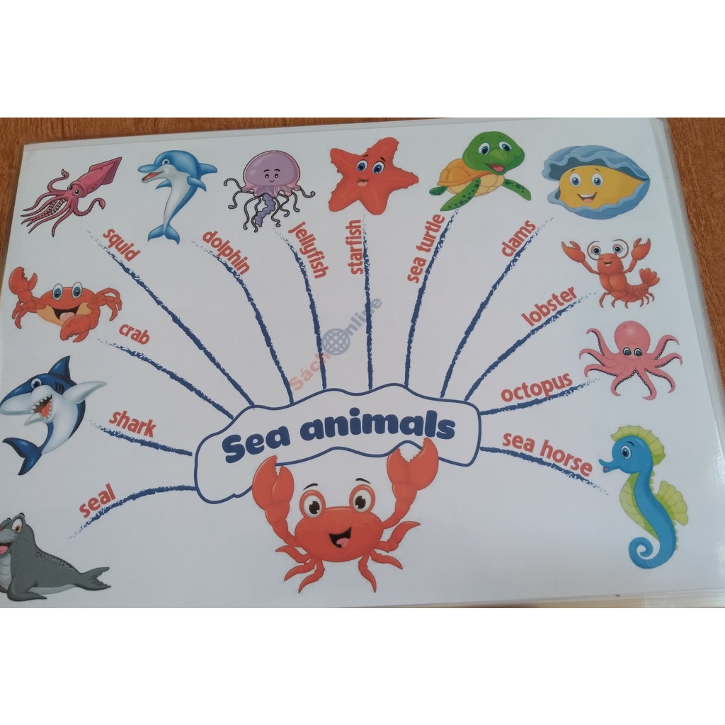 Mindmap 11 chủ đề, 30 chủ đề khổ A3, cán bóng - Thẻ học thuyết trình Tiếng Anh cho bé