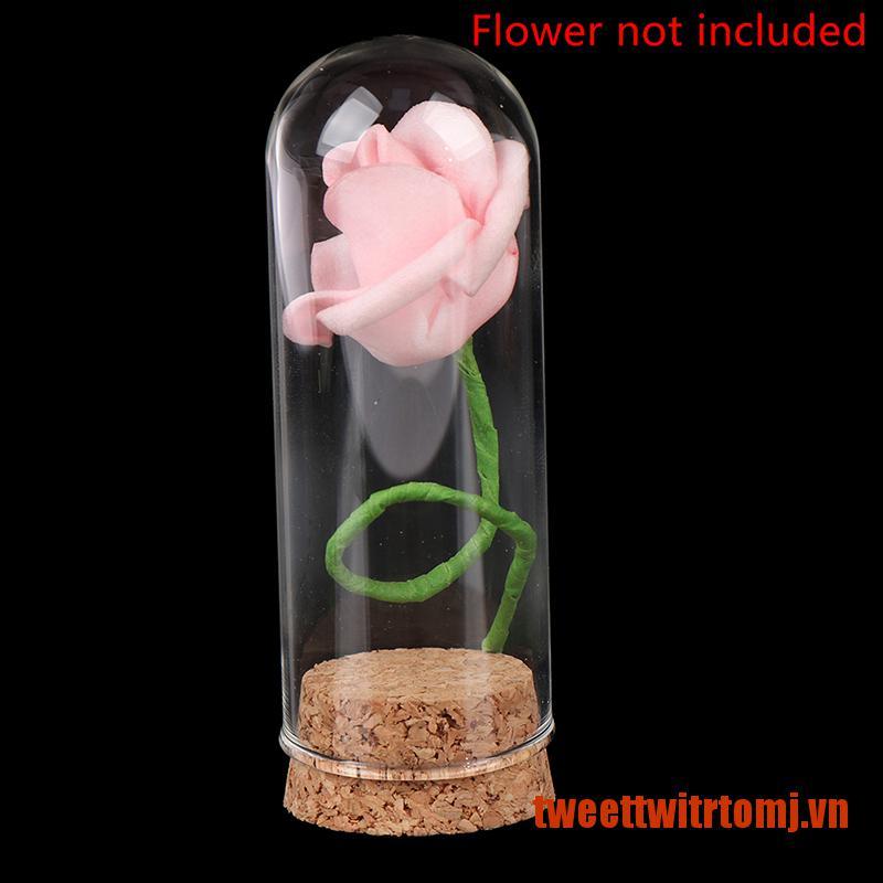 TWEET 1/6 Doll Glass Dome Display Wood Cork Bell Jar With Wooden Base Decoation C