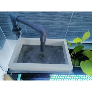 Khay hứng phân cho bể cá cảnh(kt:15,5×17×4cm)