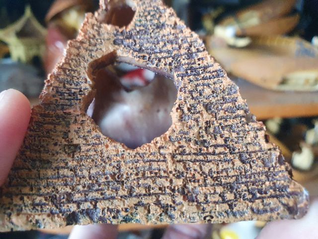 KIM TỰ THÁP TRANG TRÍ HỒ CÁ NON BỘ 8x7x9cm