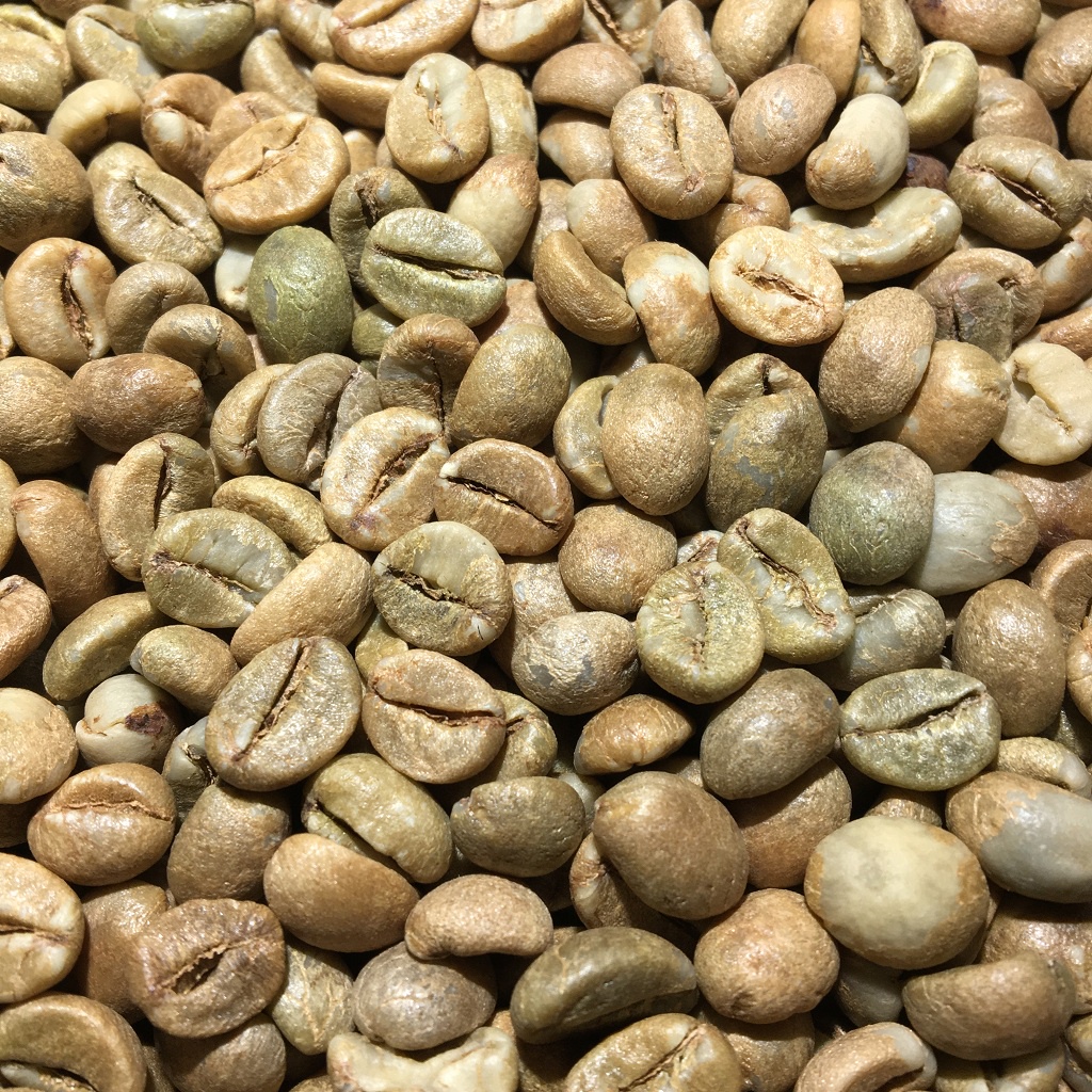 Cà phê Robusta Honey [500g/ 1 túi] - 100% Cà phê mộc rang xay nguyên chất - TBCAFE | BigBuy360 - bigbuy360.vn