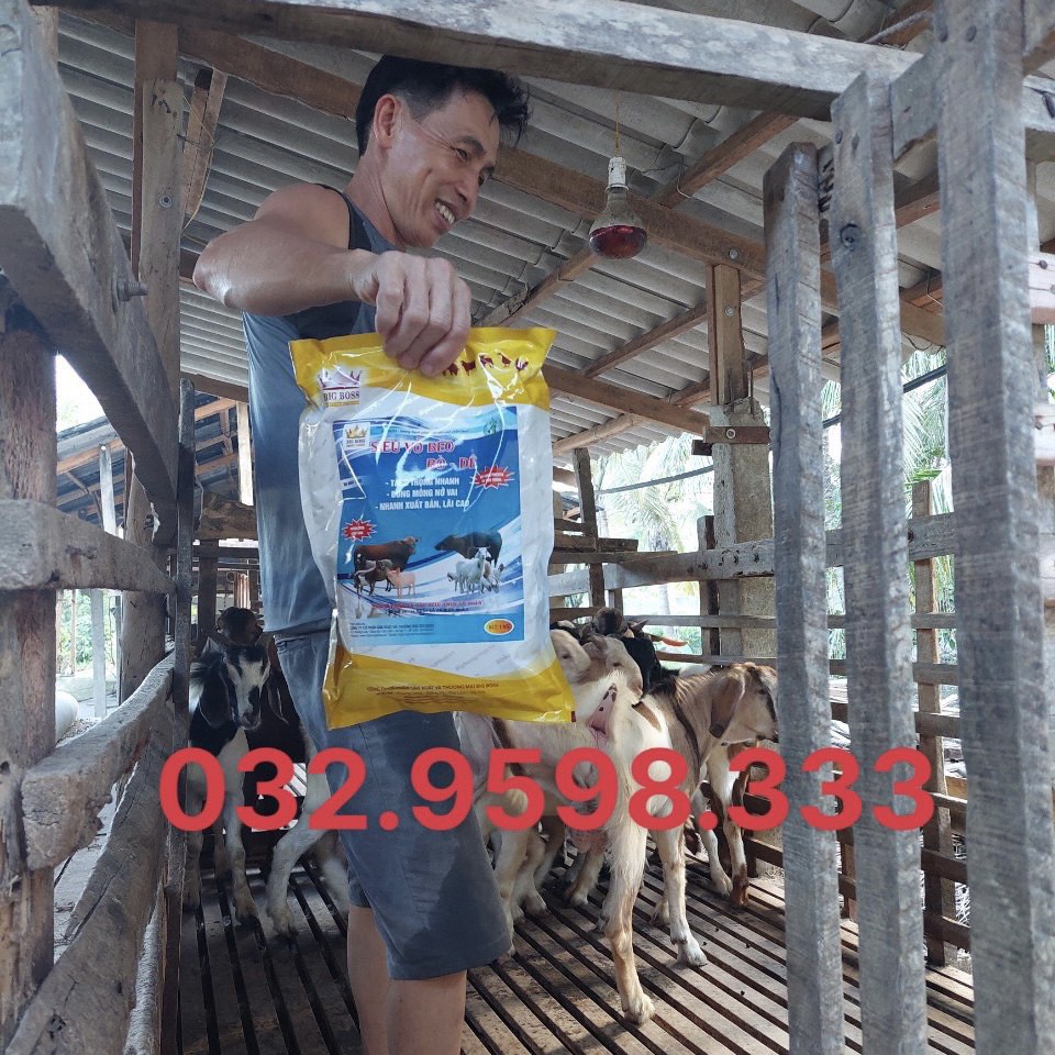 Siêu Vỗ Béo Trâu Bò Dê. Hàng Công Ty