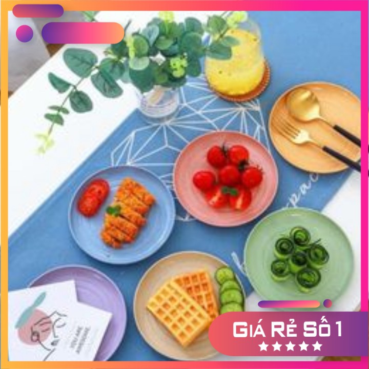 SET 6 ĐĨA LÚA MẠCH SIÊU XINHFREESHIP Chất Liệu Lúa Mạch An Toàn Cho Sức Khoẻ