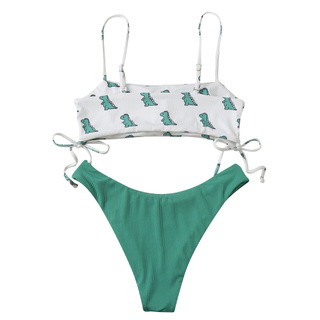 Bikini Hoạ Tiết Khủng Long Cho Nữ