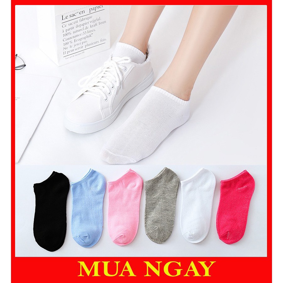 Tất Vớ Nữ Cổ Ngắn 5 Màu Đơn Giản TN66